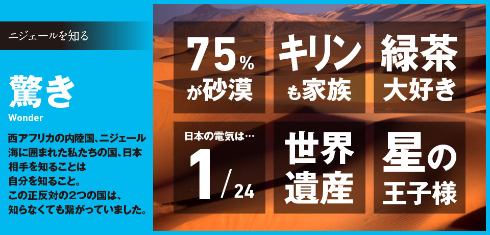 ニジェールを知る