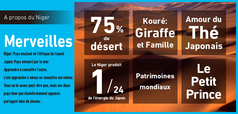 A propos du Niger